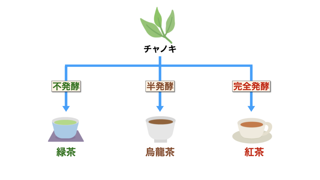 アサヒ飲料】「醤油みたい(笑)」と話題のペットボトル『和紅茶 無糖ストレート』っておいしいの？実際に飲んでみた！ - Miiのお茶会 〜紅茶専門ブログ〜